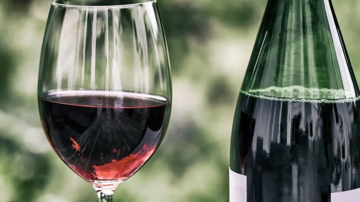 Visiter un domaine viticole produisant du vin : les activités à ne pas manquer